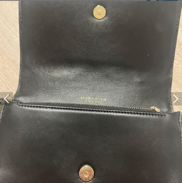 Alice+Olivia Clutch - Picture 3 of 4